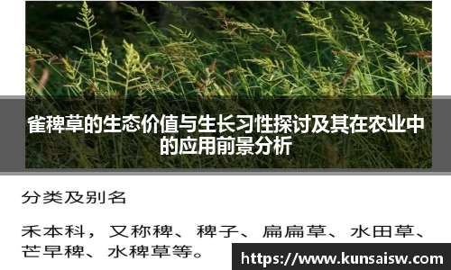 SG胜游APP